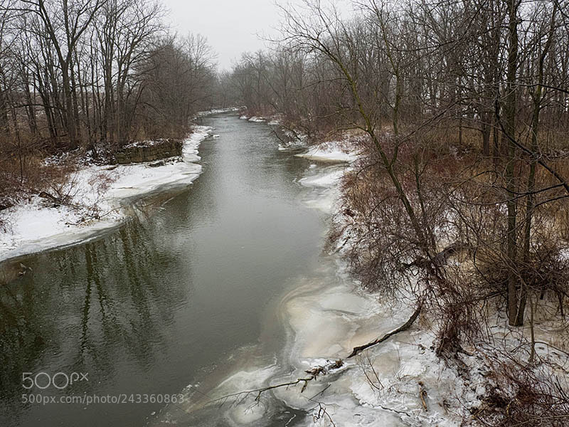 Olympus OM-D E-M1 sample photo. Damp winter day photography