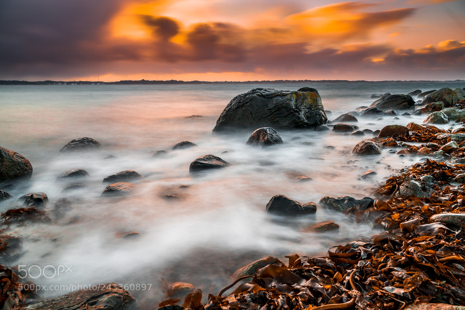Sony a6500 sample photo. Rocks and seaweed photography