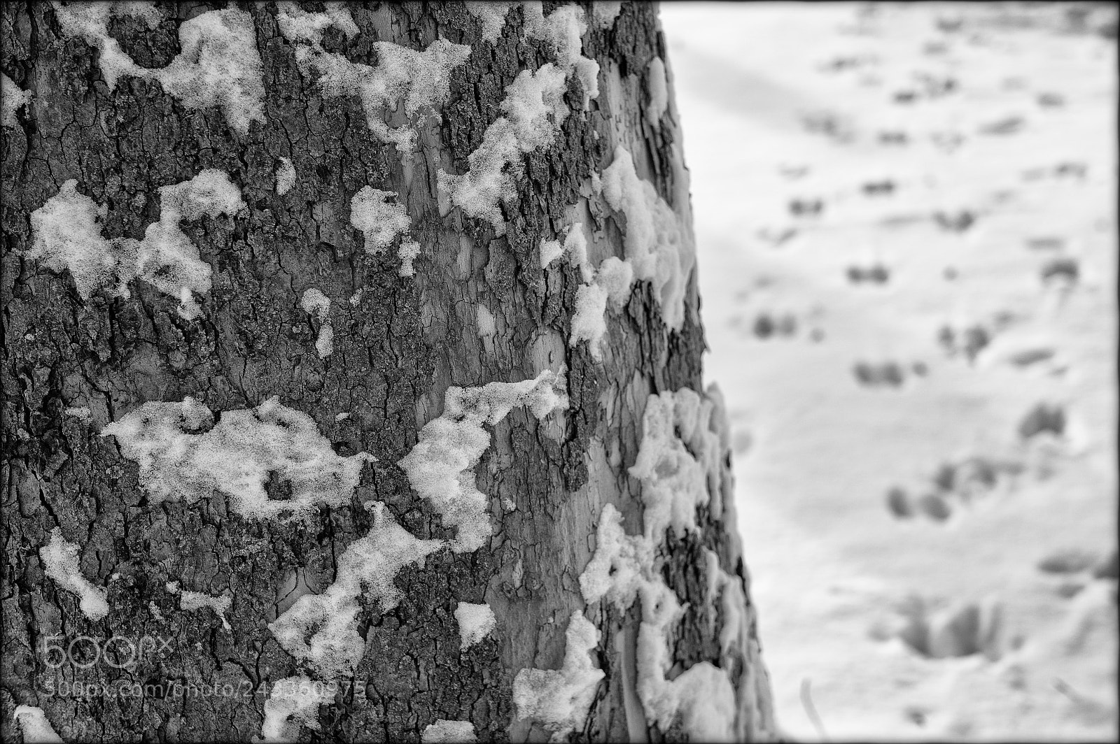 Leica M9 sample photo. High traffic area photography