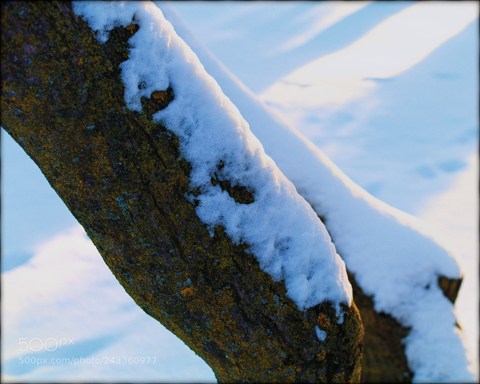 Leica M9 sample photo. Winter photography
