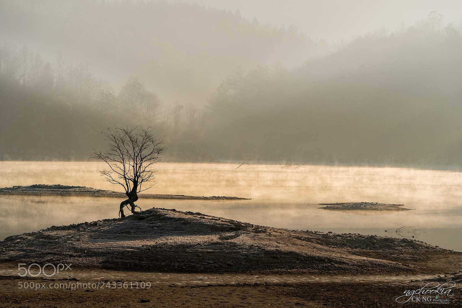 Sony a9 sample photo. Stand alone ii hongcun-huizhou photography