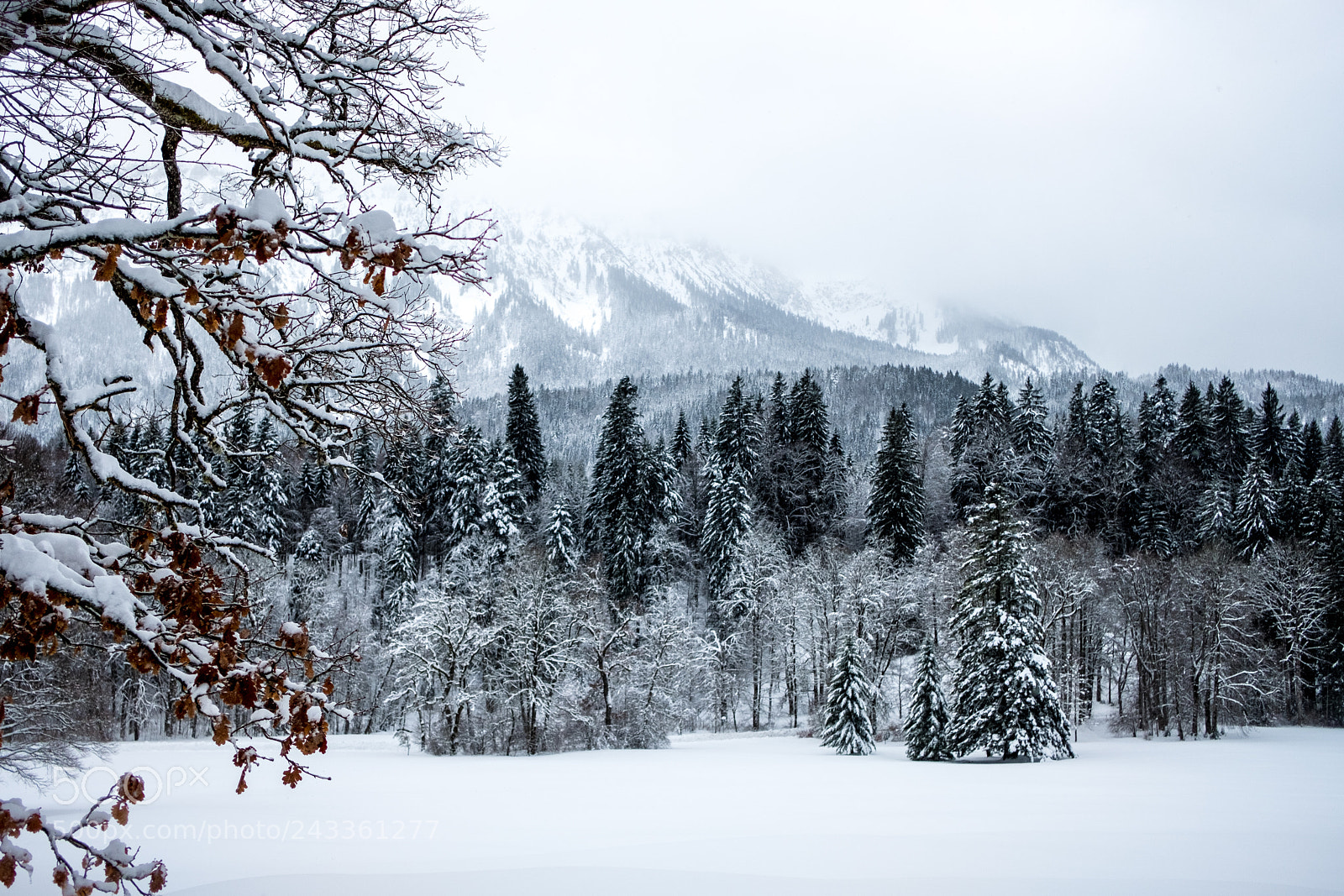 Fujifilm X-T2 sample photo. Winter at park linderhof photography