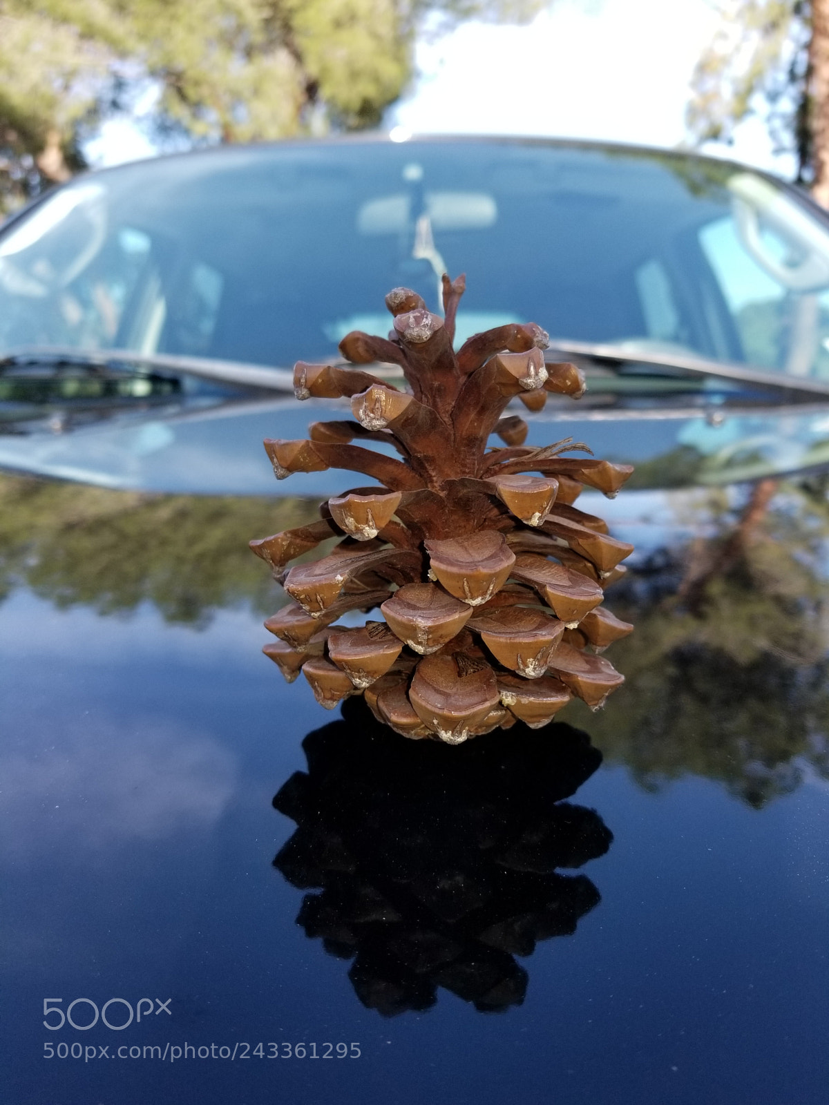 Samsung Galaxy S8+ sample photo. Pining for the ford. photography