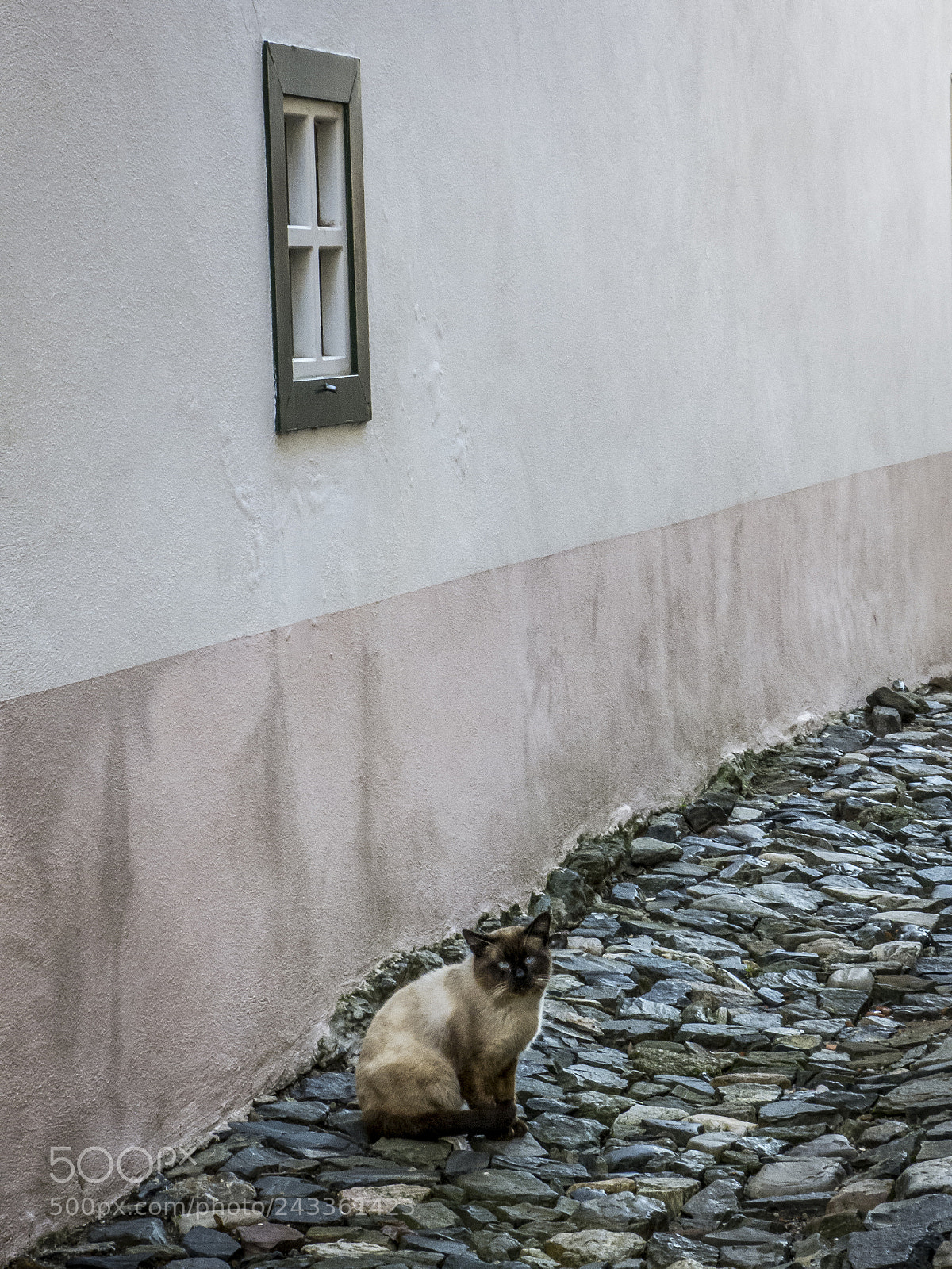 Panasonic Lumix DMC-FZ150 sample photo. Gato bajo ventana.jpg photography