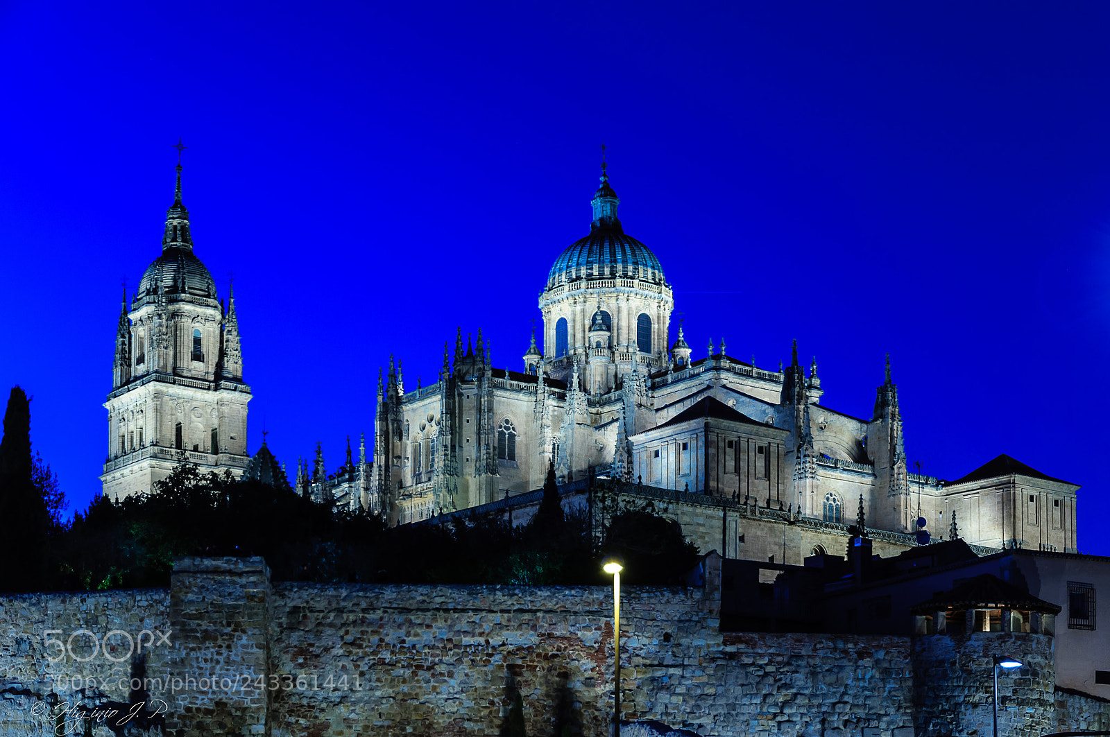 Nikon D90 sample photo. Salamanca catedral photography