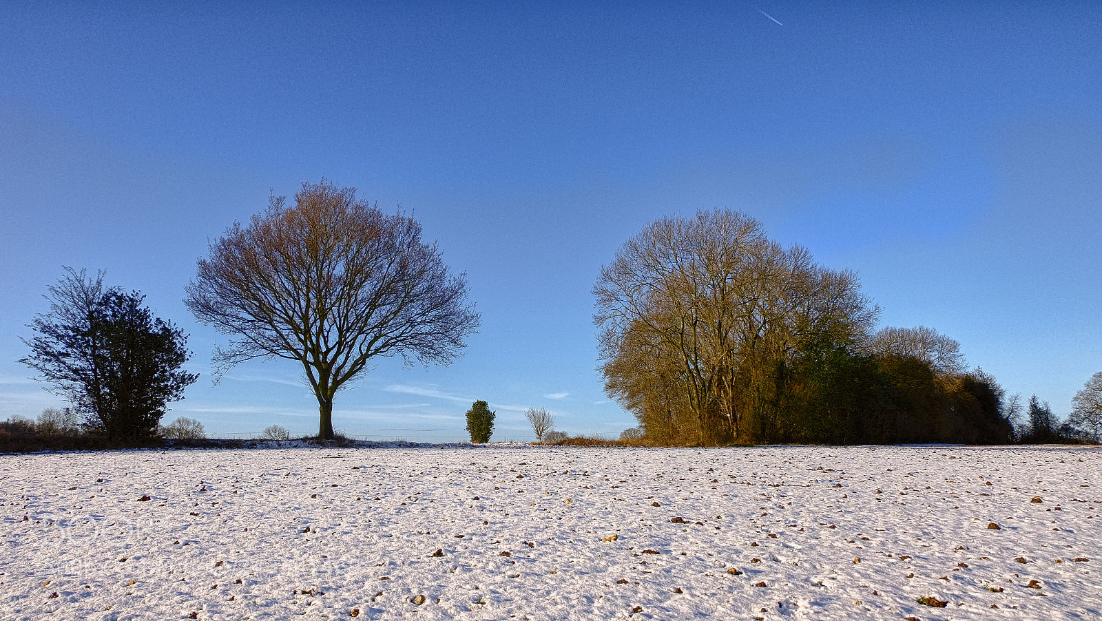 Fujifilm X-T10 sample photo. Sunny winter day photography