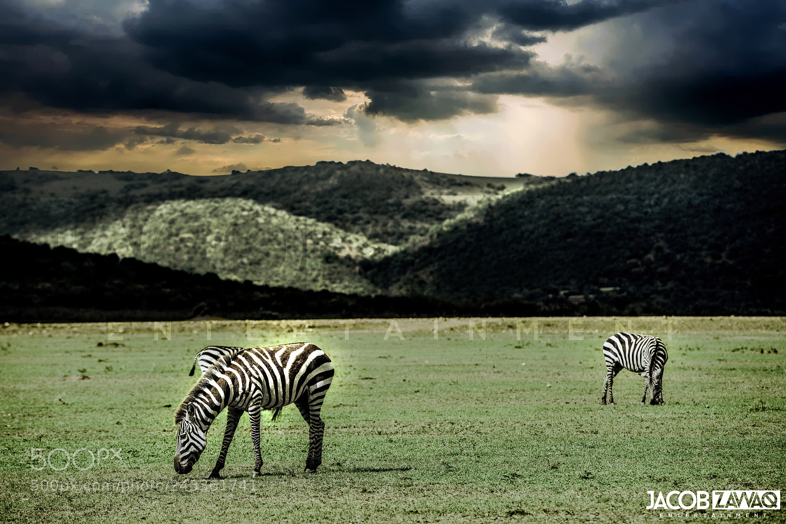 Sony a7R II sample photo. Safari - masai mara photography