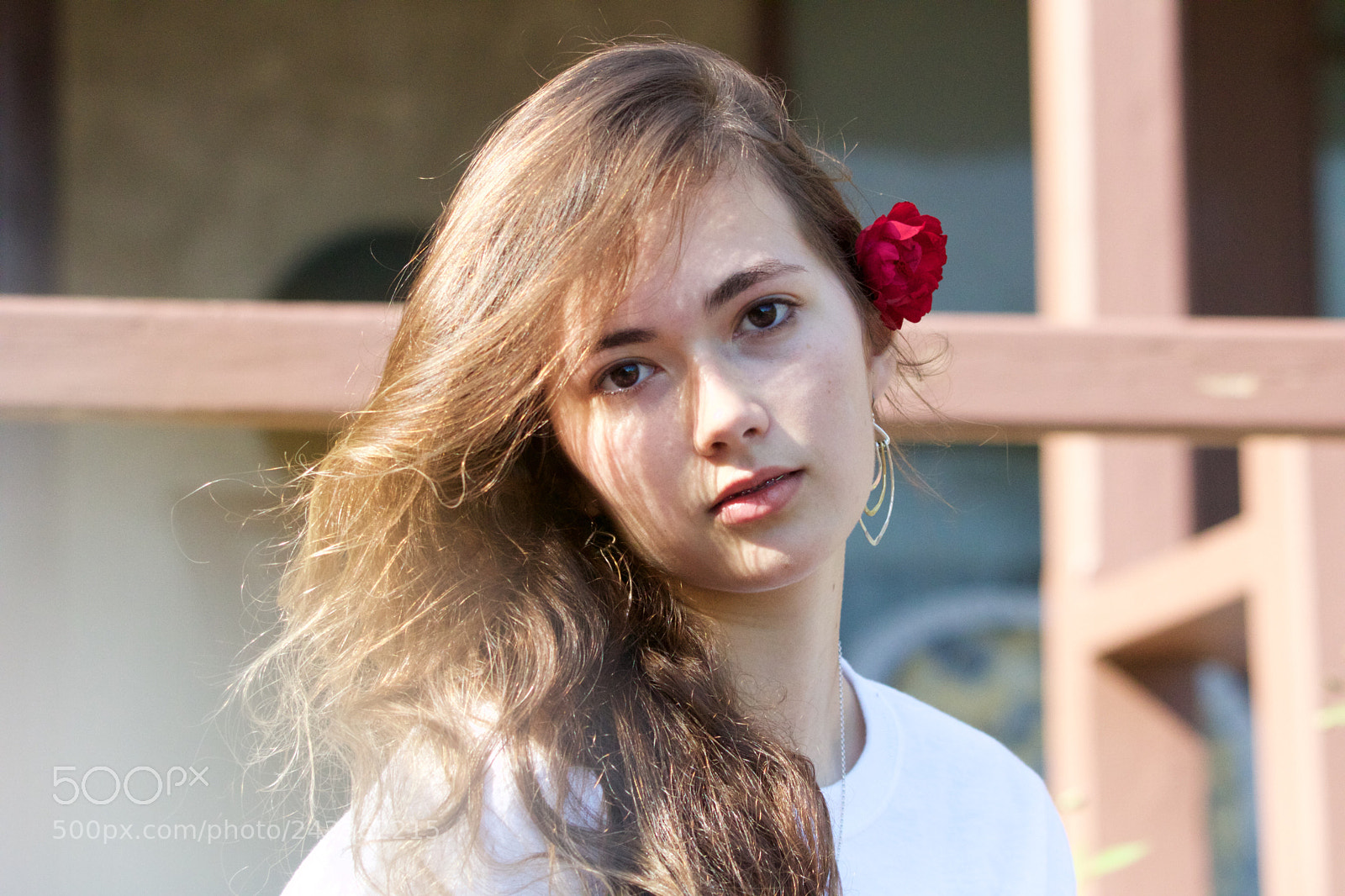 Canon EOS 750D (EOS Rebel T6i / EOS Kiss X8i) sample photo. Sun-kissed photography
