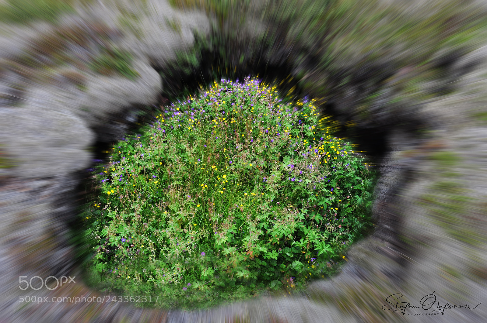 Nikon D5000 sample photo. An island photography