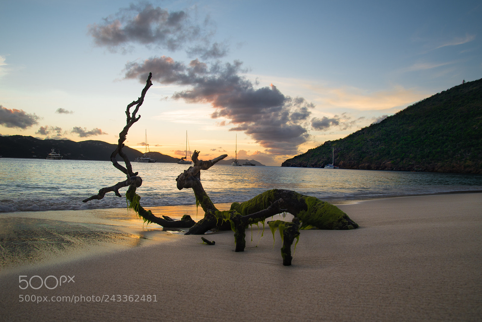 Nikon D610 sample photo. Guana island beachwood photography