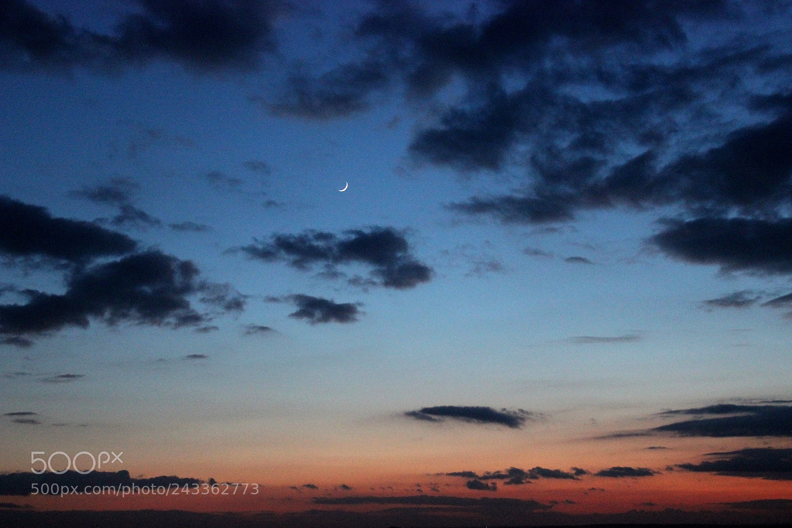 Canon EF-S 18-55mm F3.5-5.6 III sample photo. Img photography