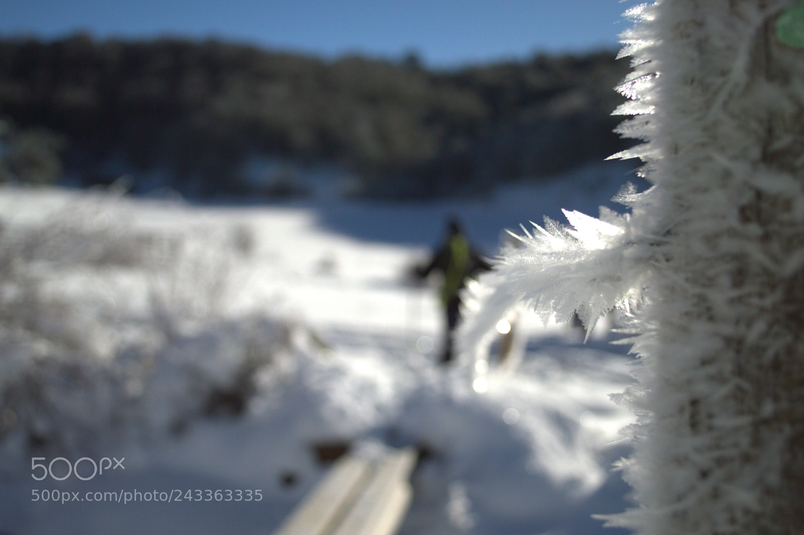 Nikon D3200 sample photo. Untitled photography