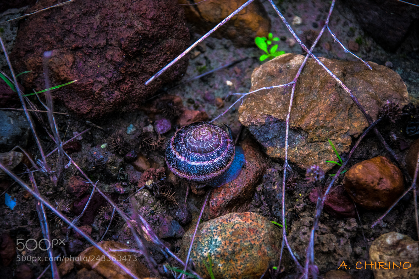 Nikon D3400 sample photo. Caracol photography
