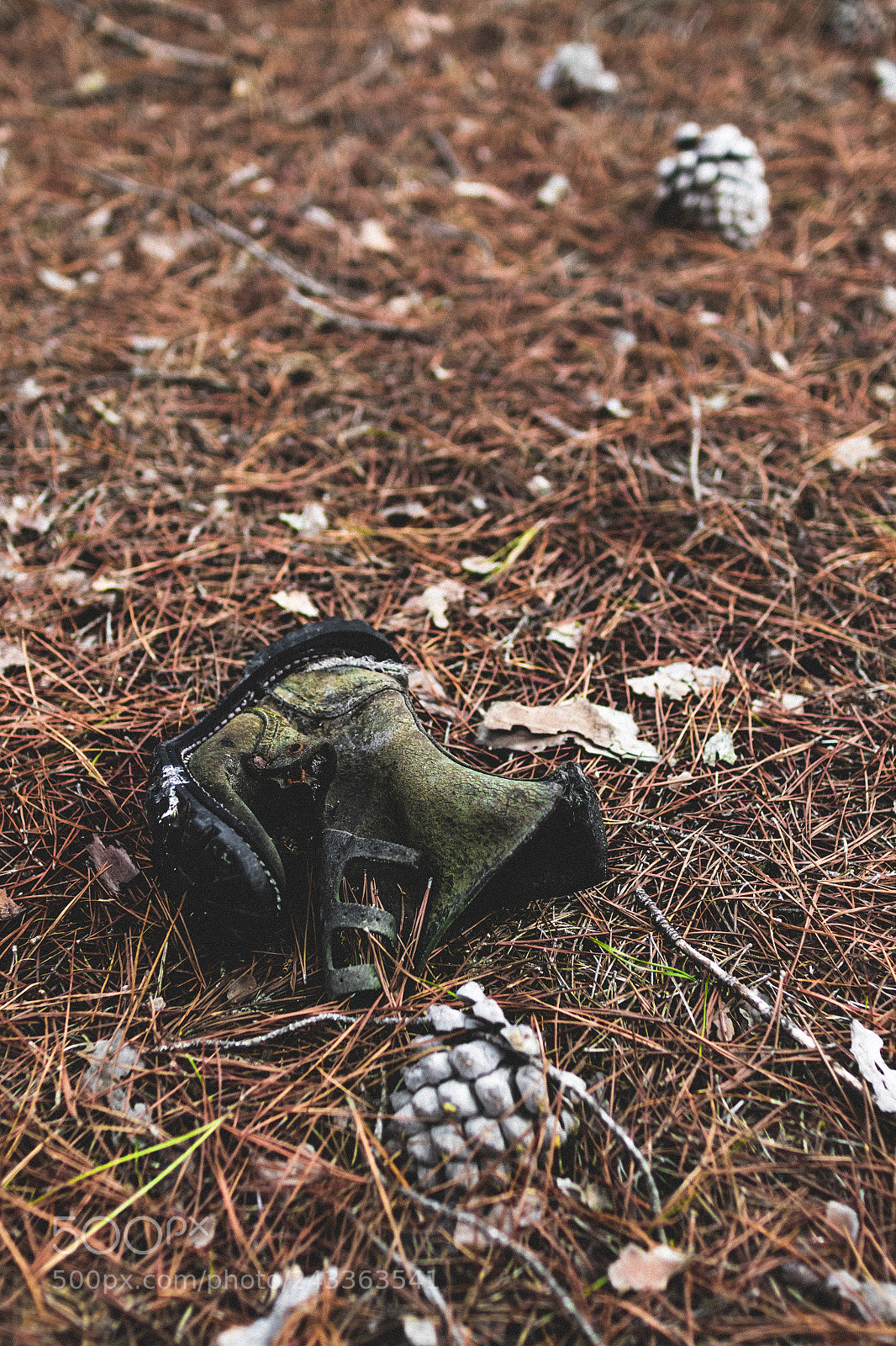 Canon EOS 7D Mark II sample photo. I forgot my way photography