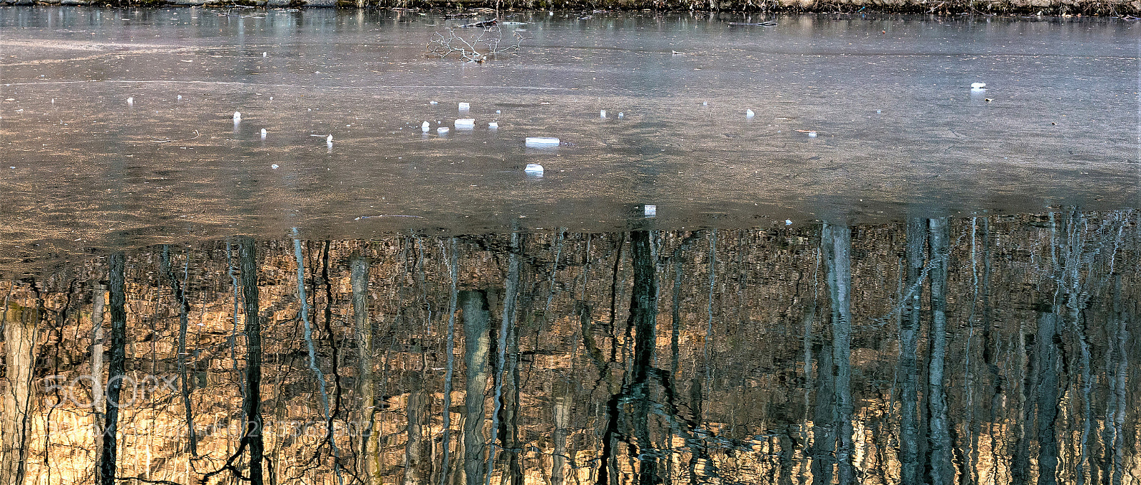 Nikon D610 sample photo. On golden pond, ice photography