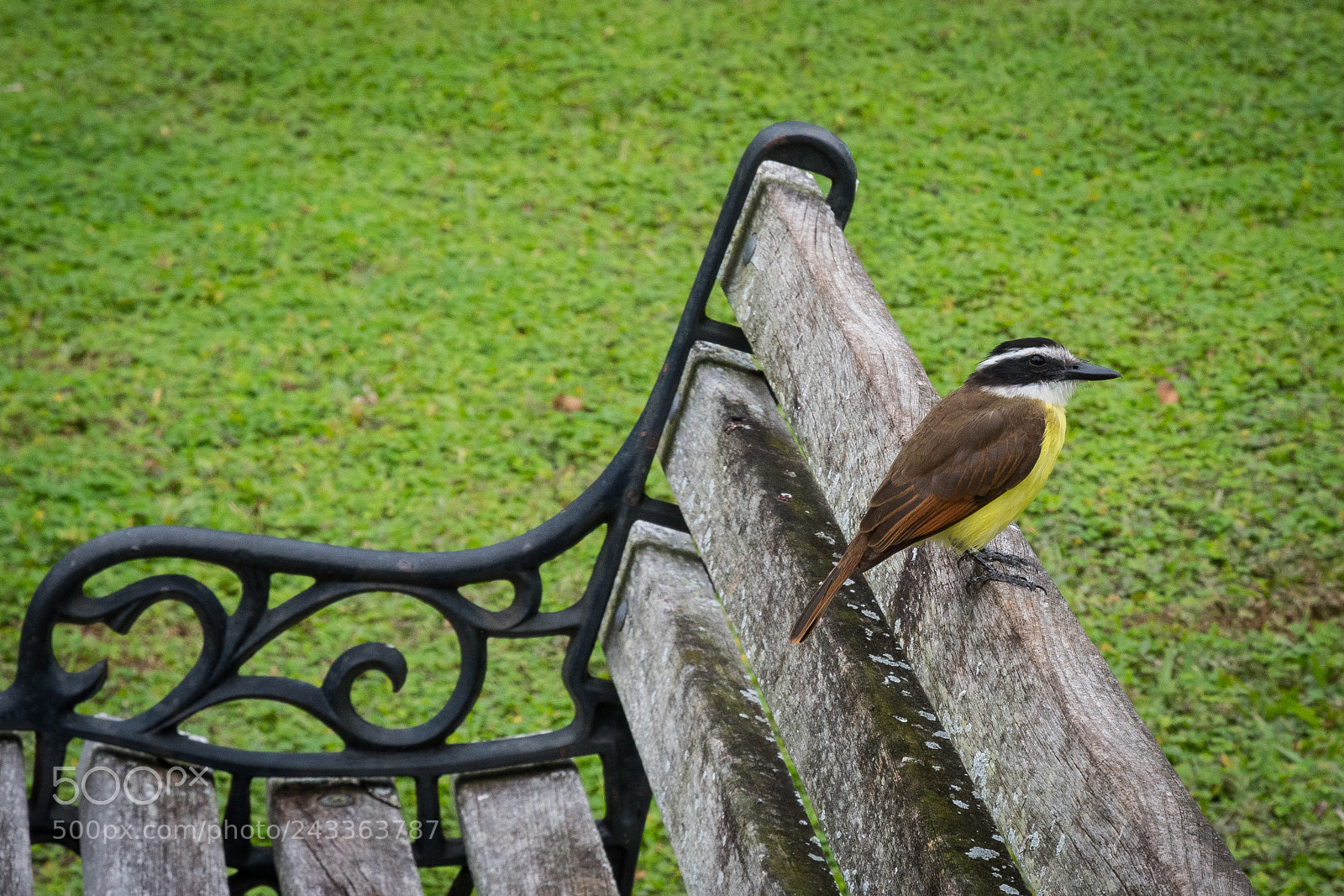 Nikon D500 sample photo. Cic photography
