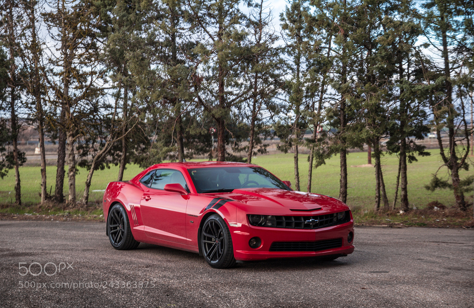 Canon EOS 60D sample photo. Camaro photography