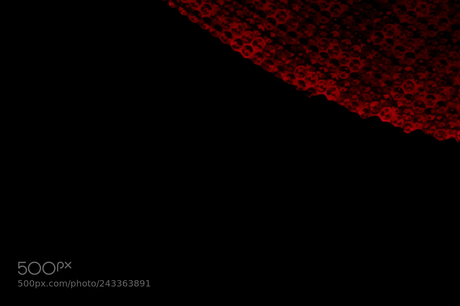 Fujifilm X-T2 sample photo. Molten photography