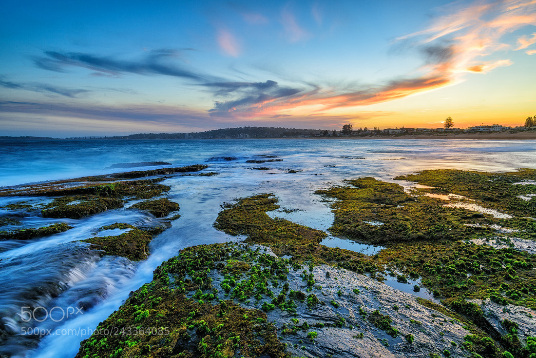 Nikon D810 sample photo. Narrabeen beach photography