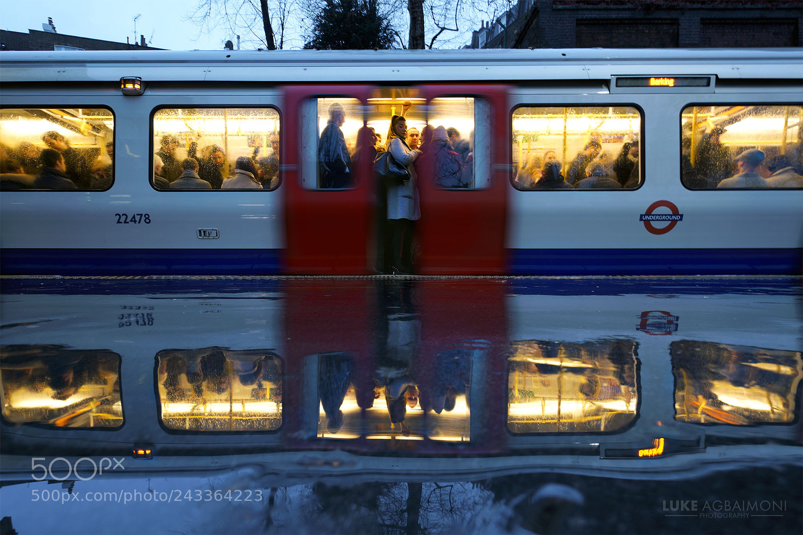 Sony a7R II sample photo. On reflection - the photography