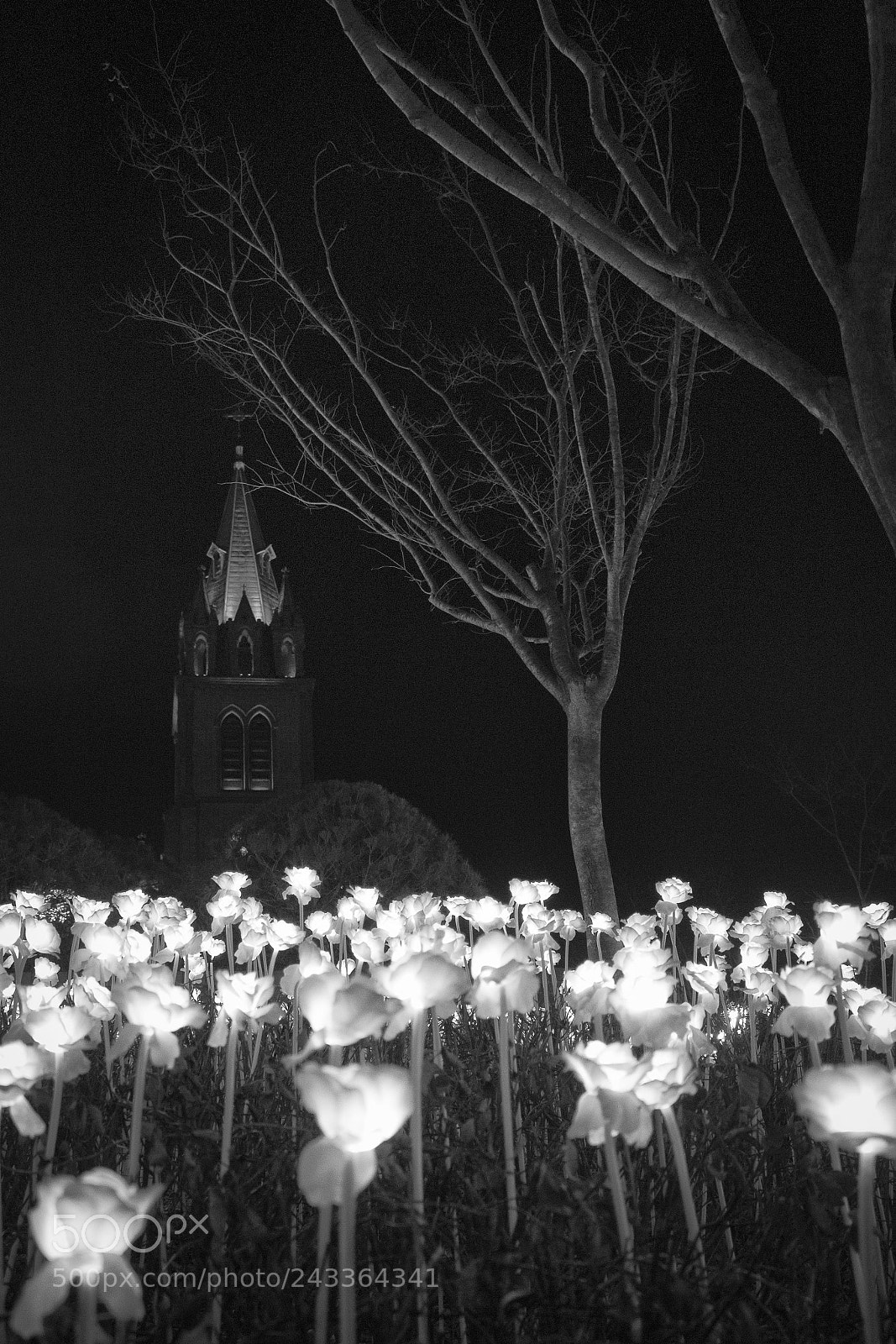 Canon EOS 100D (EOS Rebel SL1 / EOS Kiss X7) sample photo. The myungdong cathedral photography
