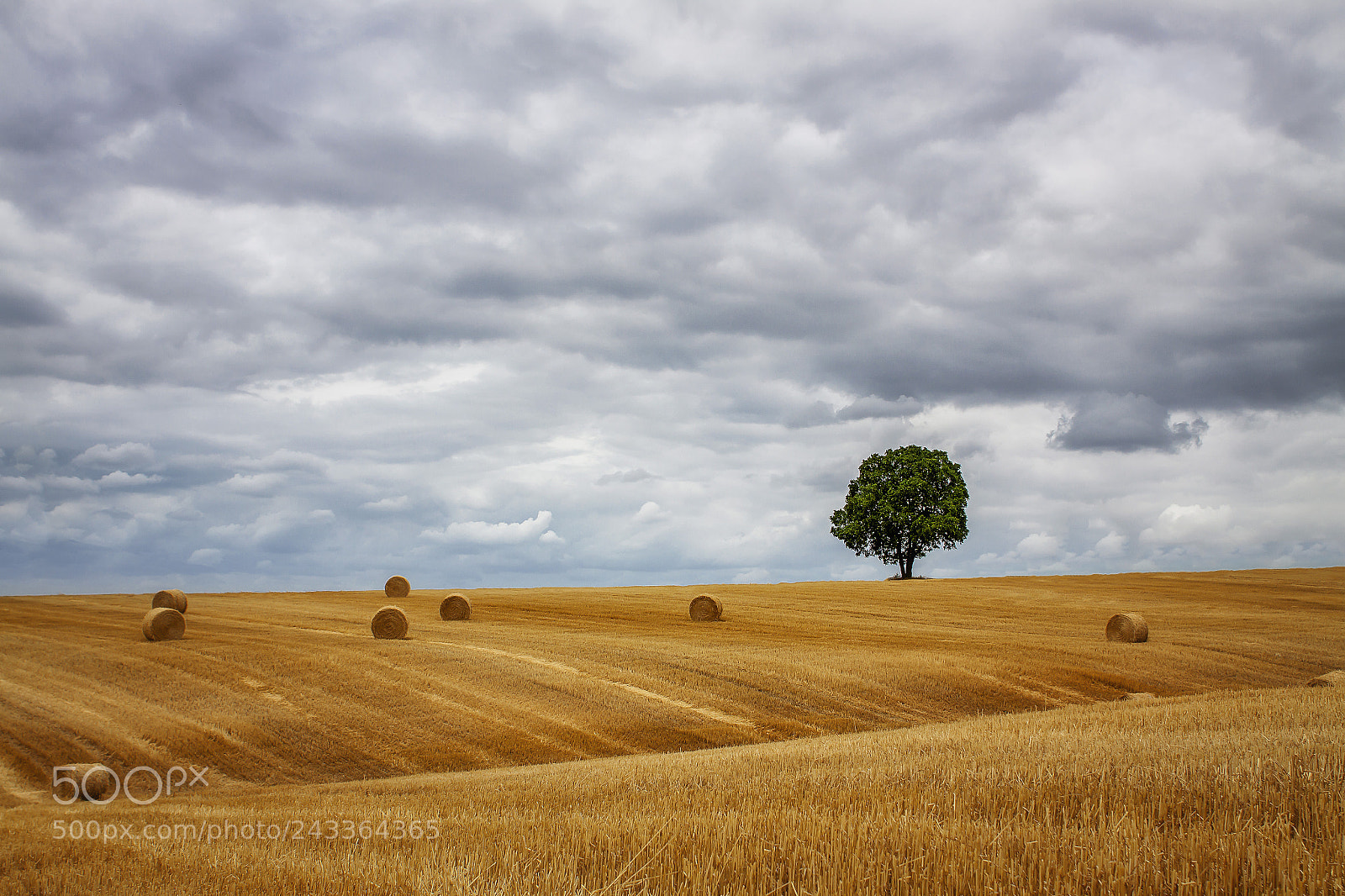 Canon EOS 50D sample photo. Les moissons photography