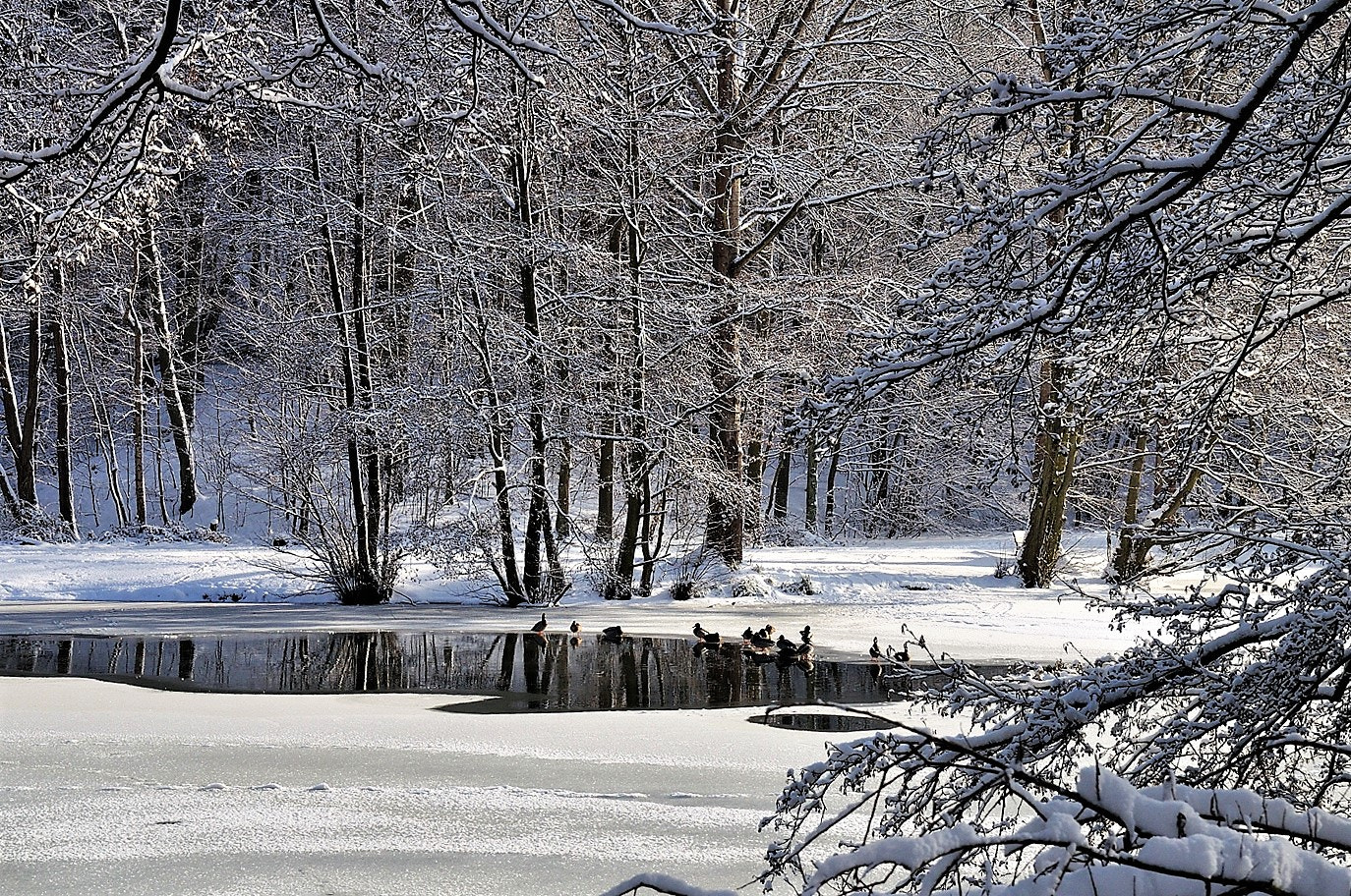 Nikon D5000 sample photo. х photography