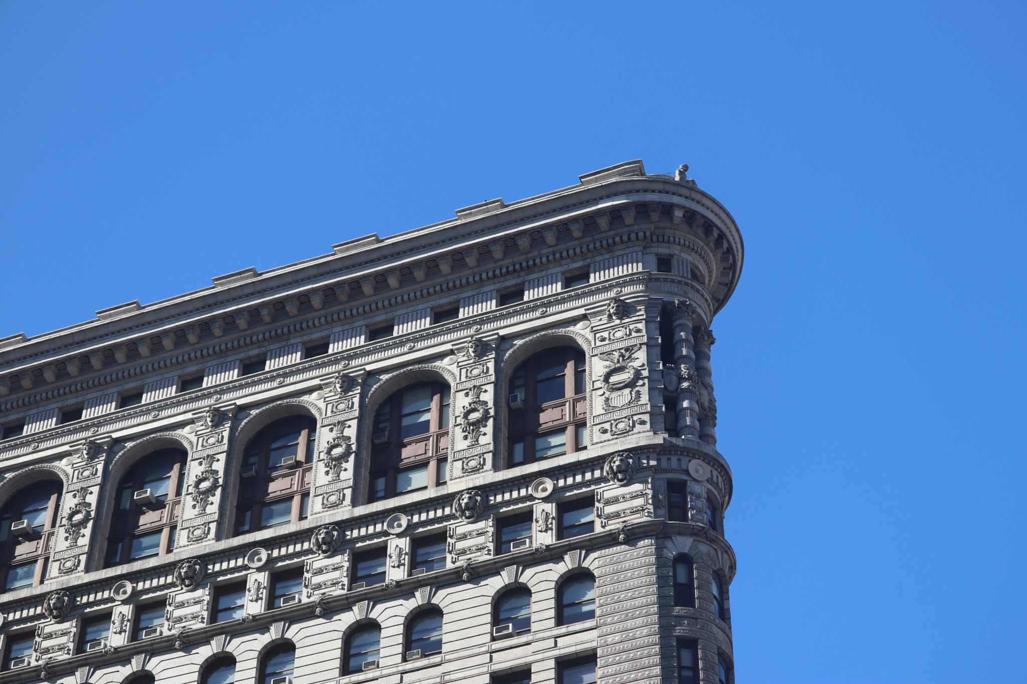 Canon EF-S 55-250mm F4-5.6 IS STM sample photo. Img photography
