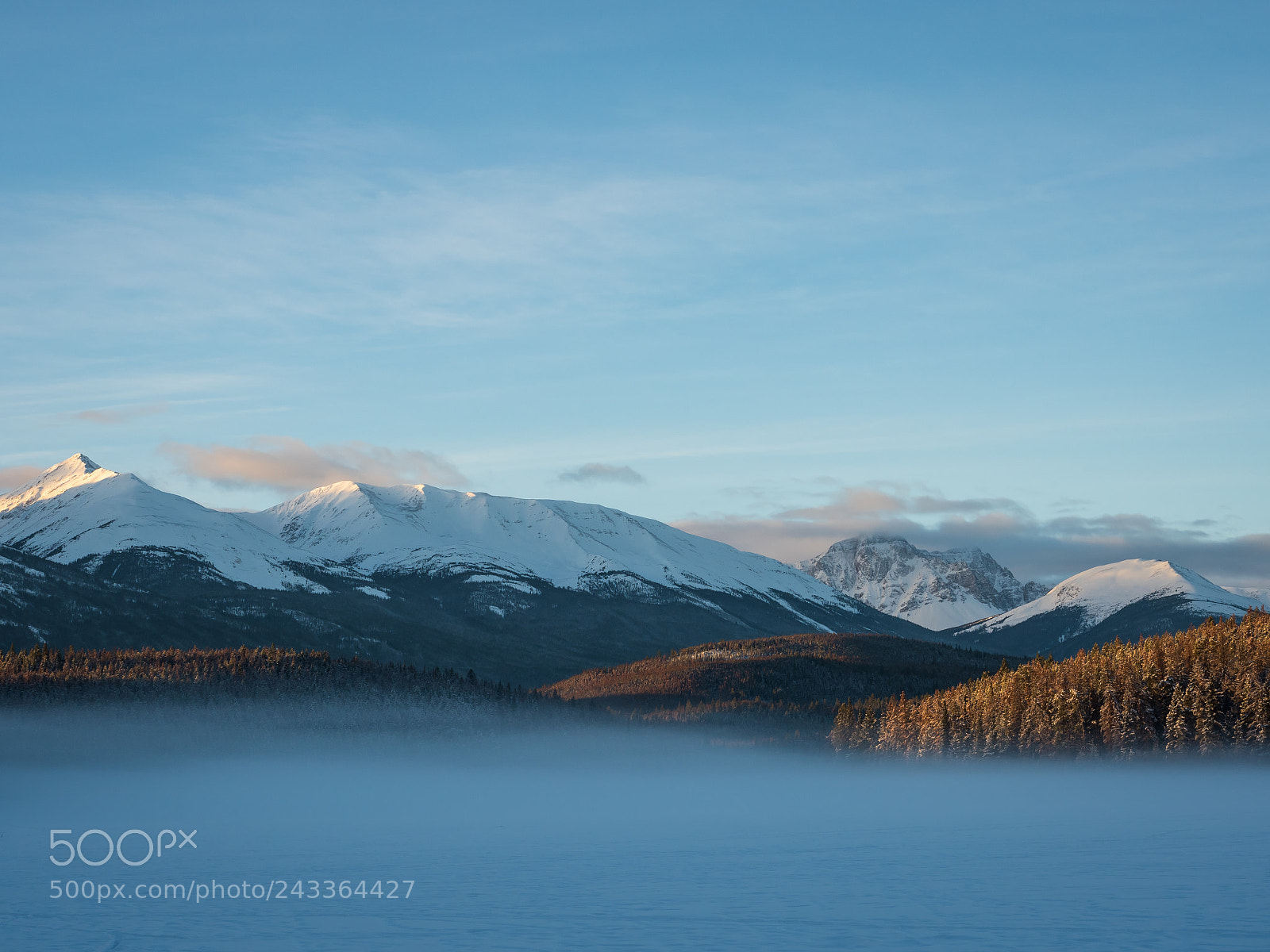 Olympus PEN-F sample photo. Winter mist and frozen photography