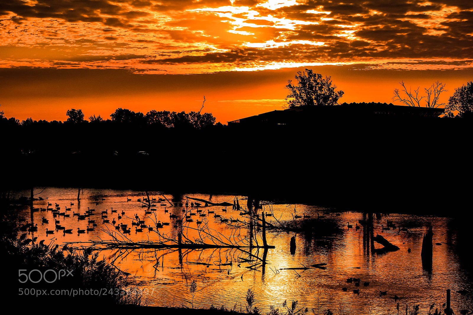 Canon EOS 60D sample photo. Sunset over pond photography