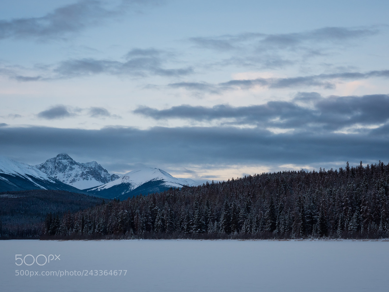 Olympus PEN-F sample photo. Winter morning at patricia photography