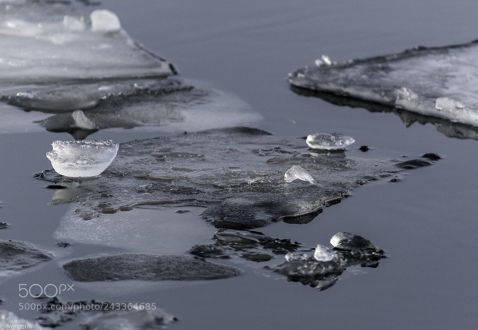 Nikon D500 sample photo. Miniature ice bergs photography