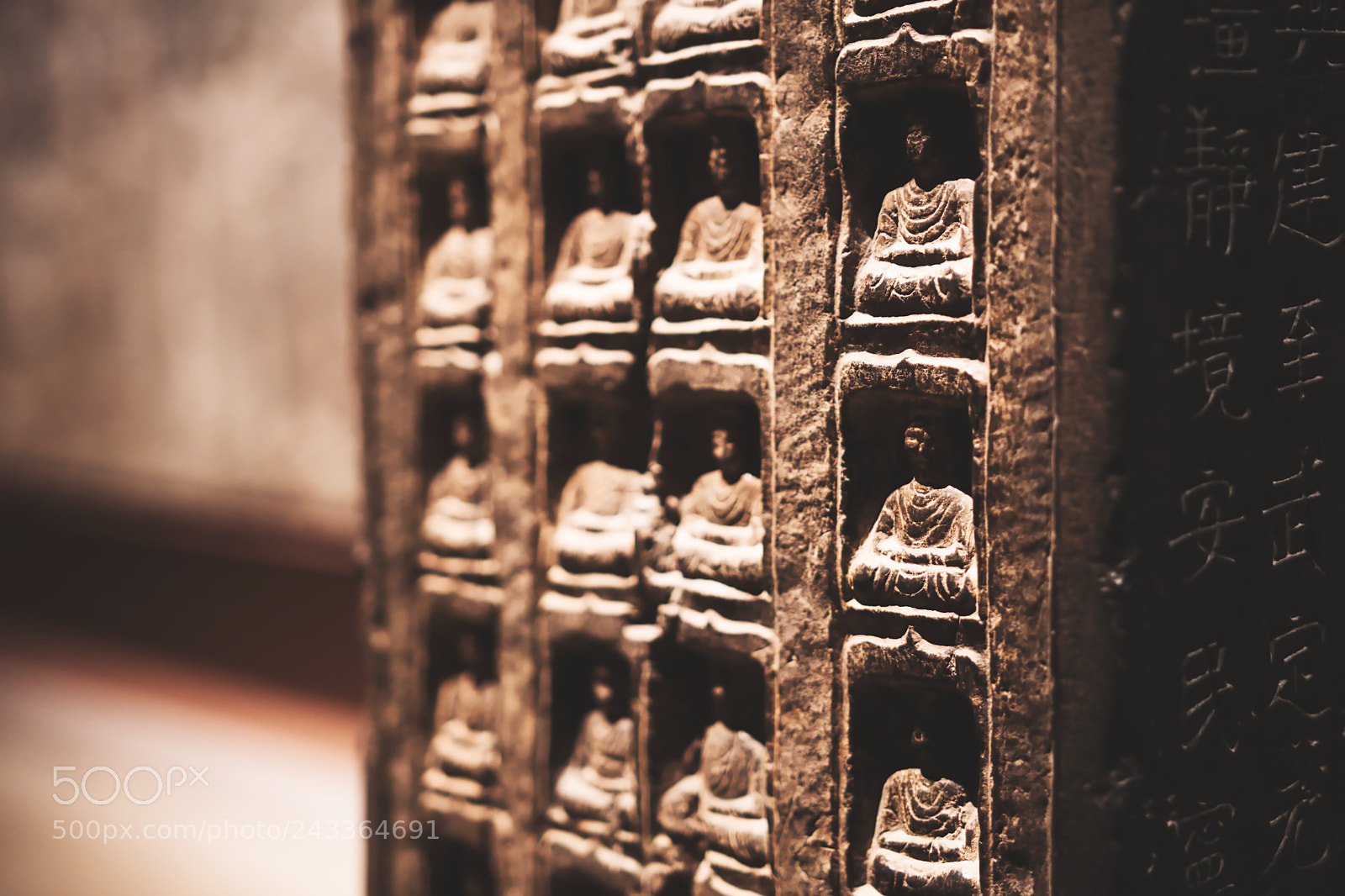 Nikon D500 sample photo. Untitled photography