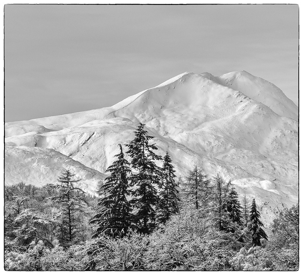 Sony SLT-A65 (SLT-A65V) sample photo. Ben lomond photography