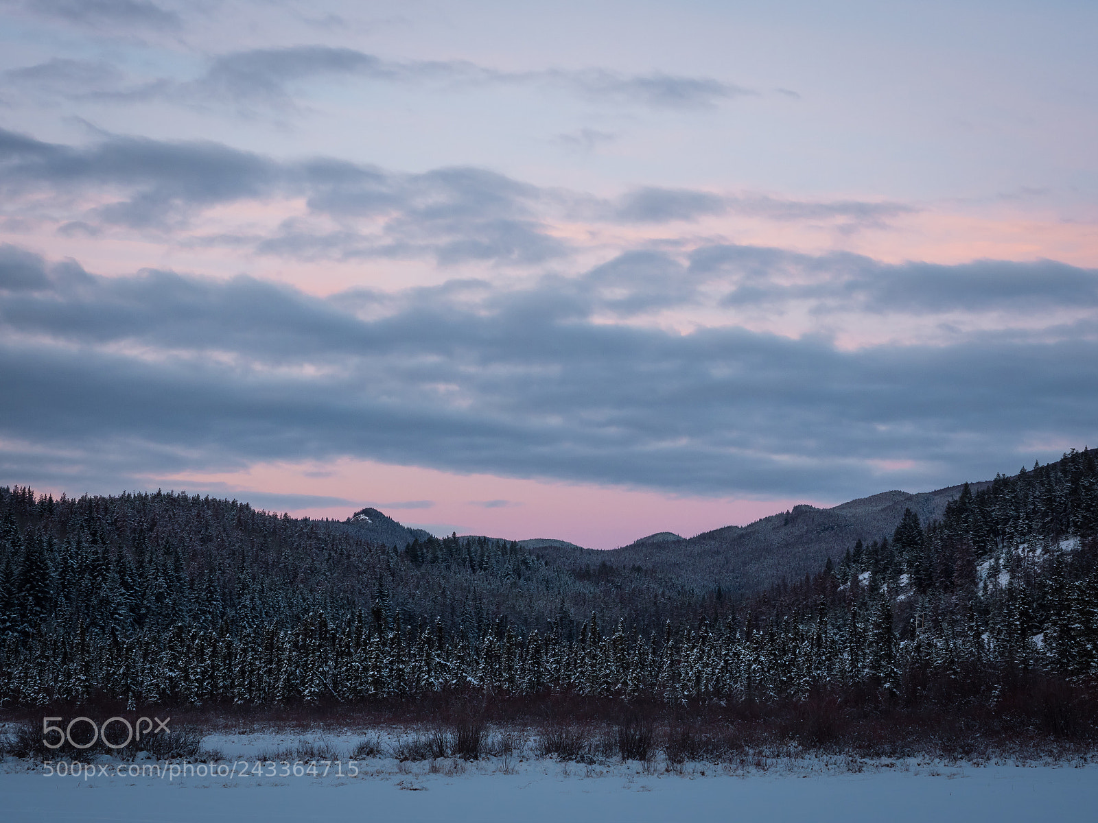Olympus PEN-F sample photo. Morning sky and snowy photography