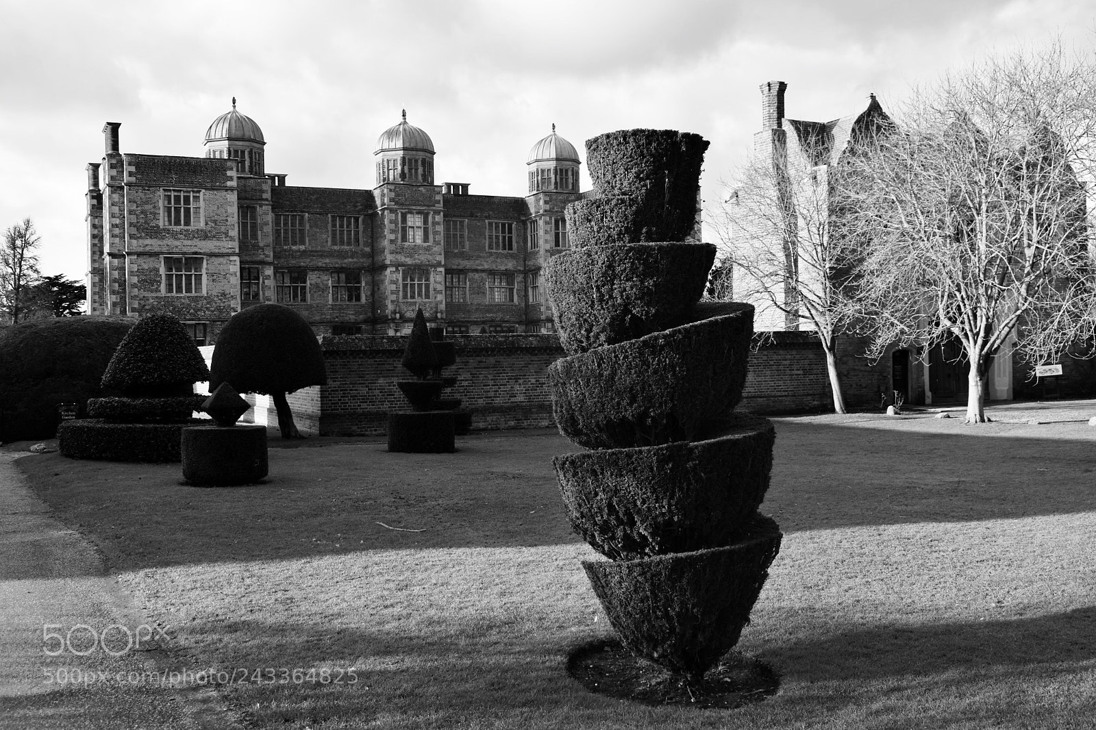 Nikon D5600 sample photo. Doddington hall photography
