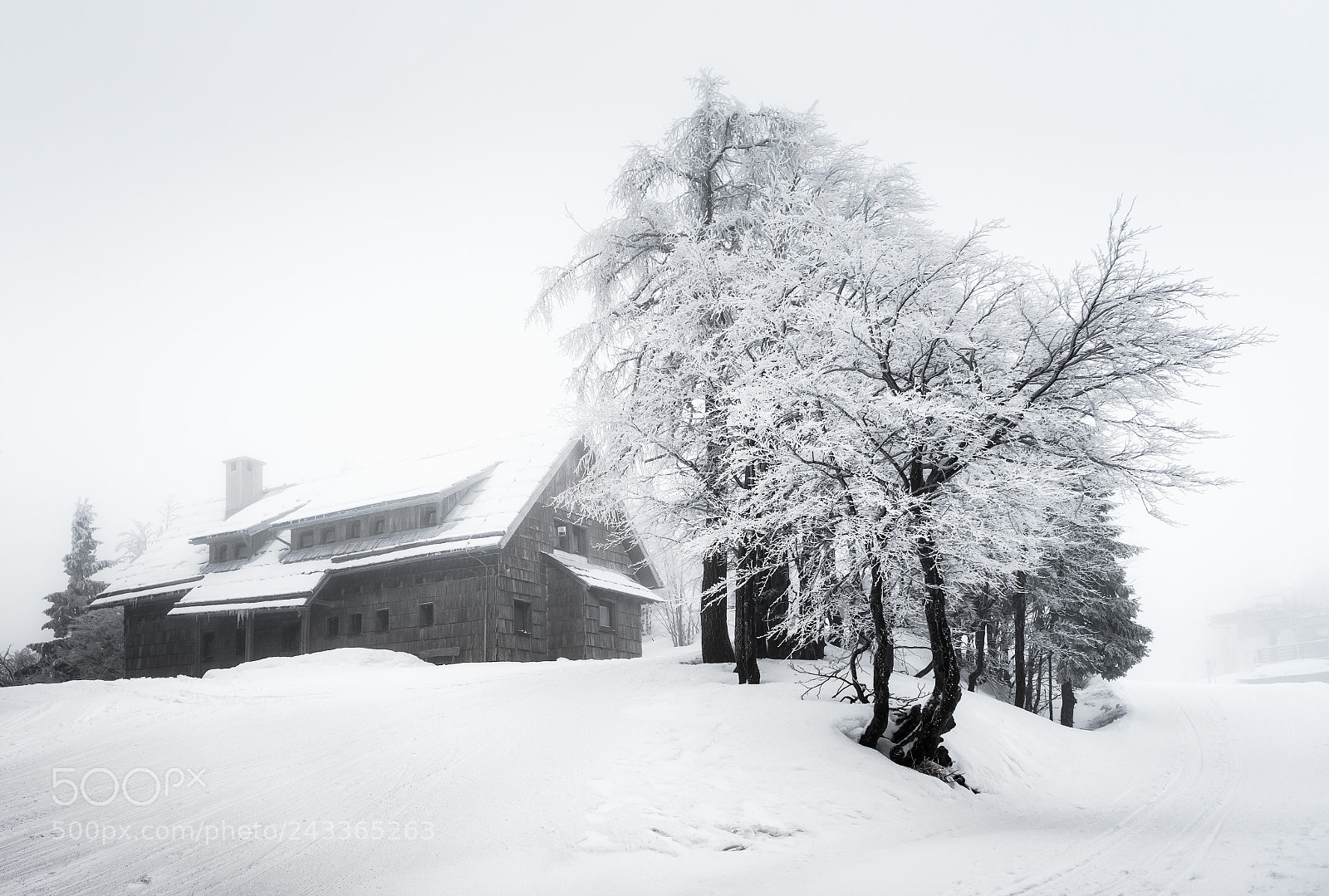 Sony a7 sample photo. Vogel ski resort. photography