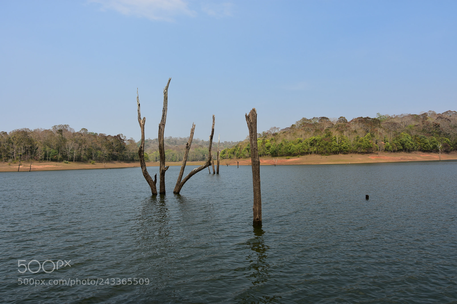 Nikon D7200 sample photo. Untitled photography