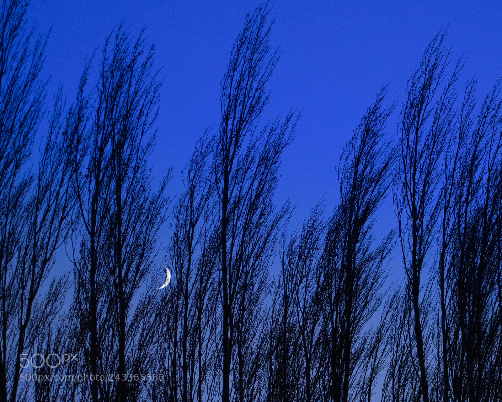 Nikon D3400 sample photo. Moonpic photography