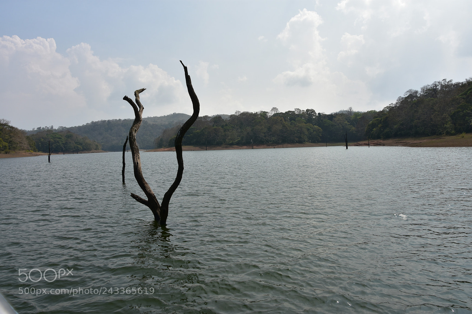 Nikon D7200 sample photo. Untitled photography