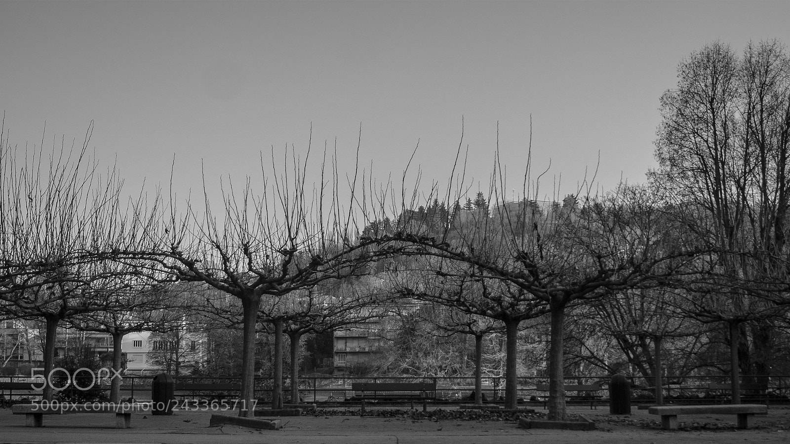 Sony Alpha DSLR-A390 sample photo. Untitled photography