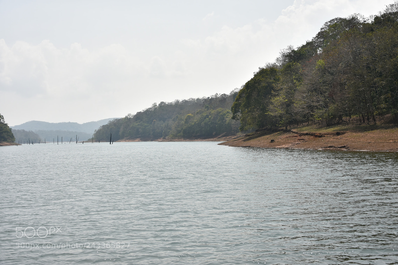 Nikon D7200 sample photo. Untitled photography