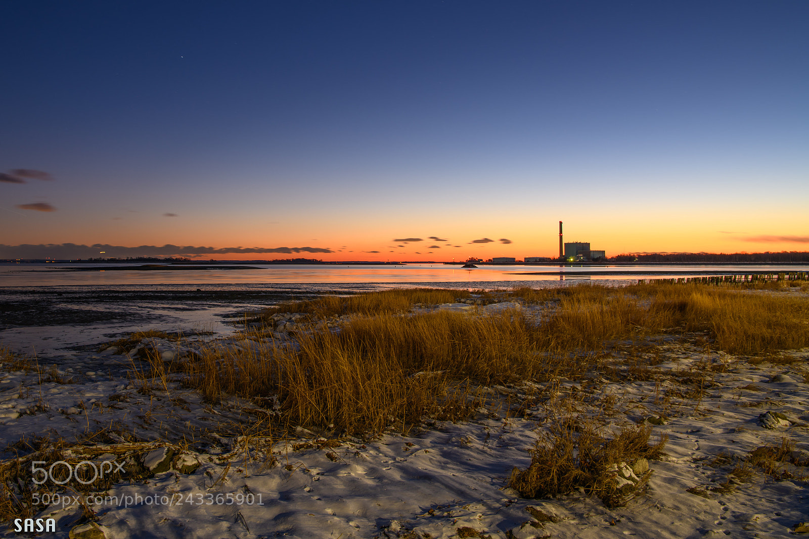 Nikon D850 sample photo. Frozen beach photography
