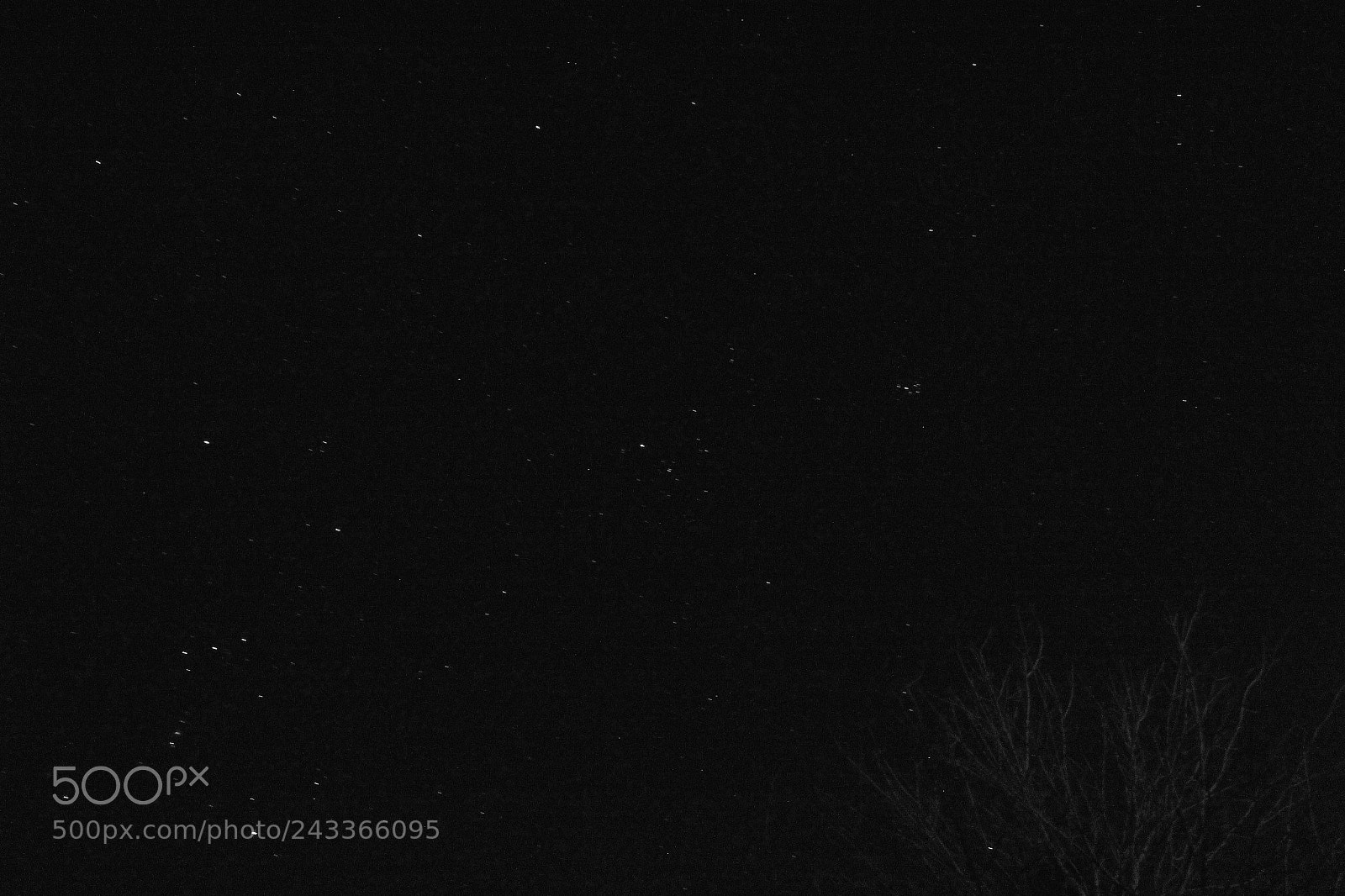 Canon EOS 1300D (EOS Rebel T6 / EOS Kiss X80) sample photo. Trying out night photography! photography