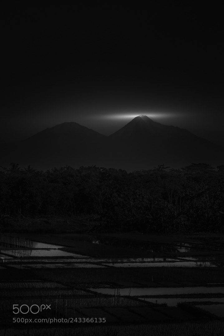 Sony SLT-A58 sample photo. Yogyakarta countryside photography