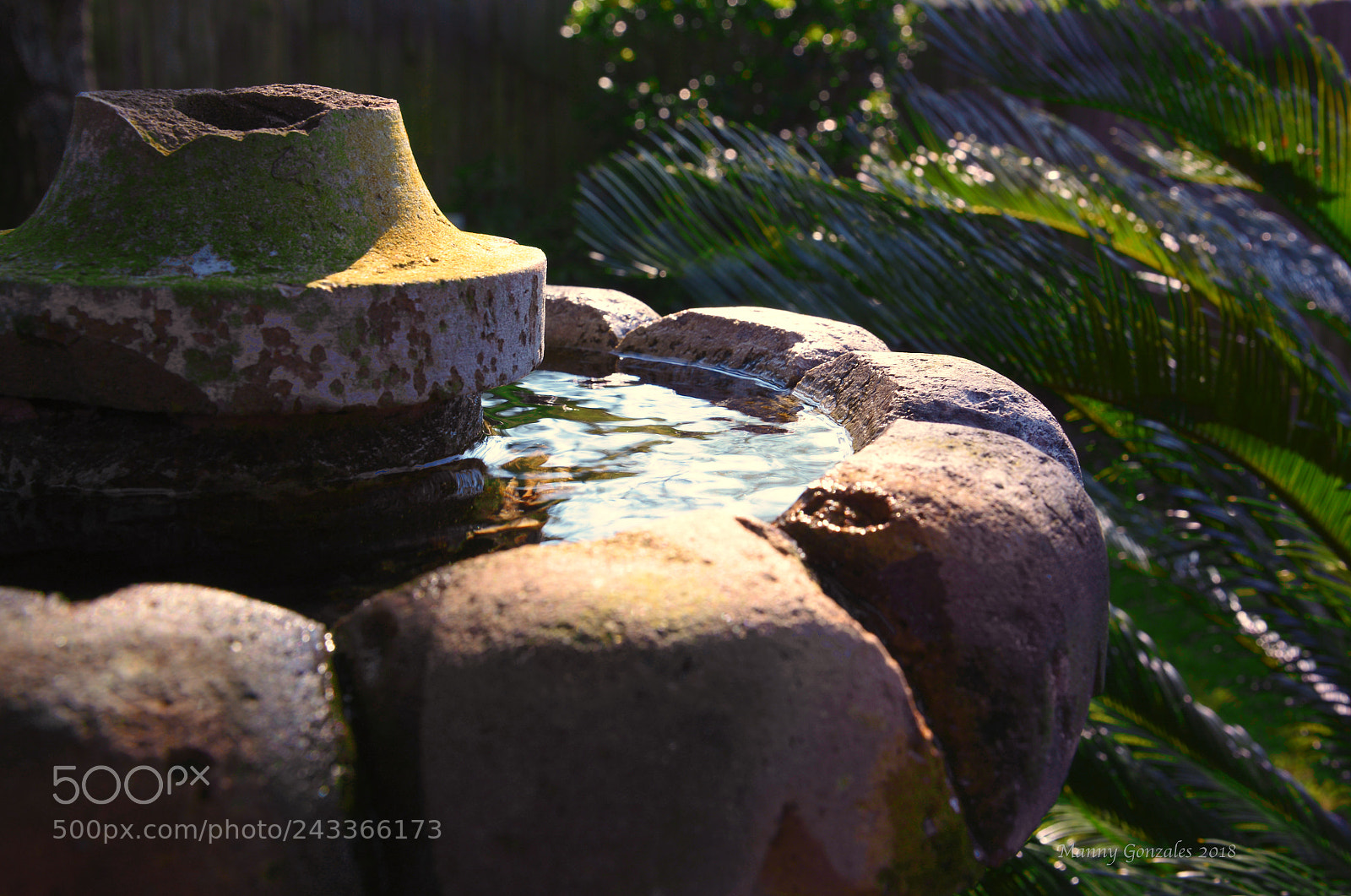 Nikon D610 sample photo. Weathered photography