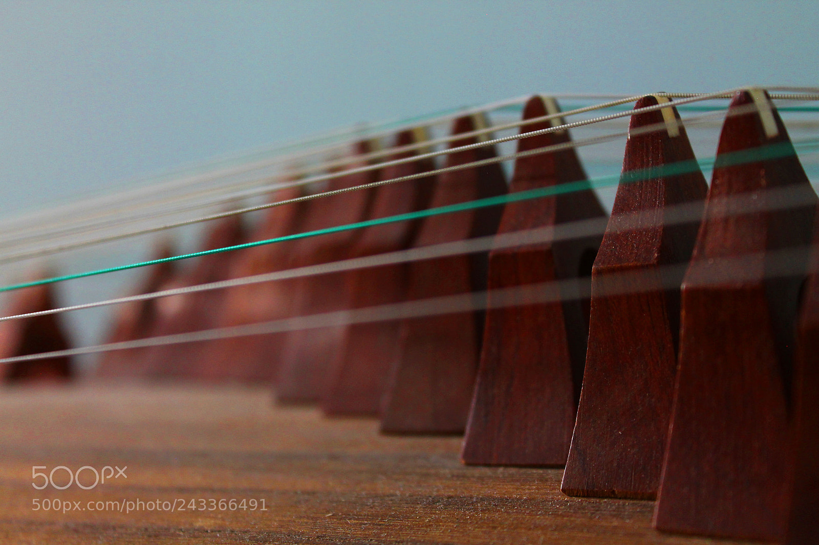 Canon EOS 1100D (EOS Rebel T3 / EOS Kiss X50) sample photo. The logic of music photography