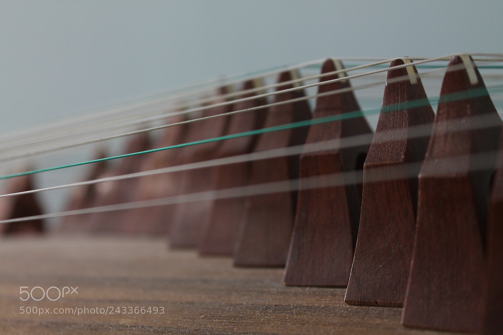 Canon EOS 1100D (EOS Rebel T3 / EOS Kiss X50) sample photo. The logic of music photography