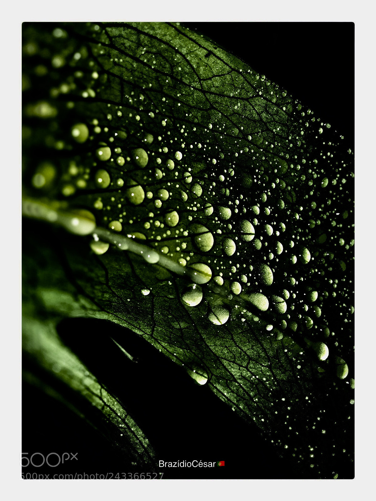 Apple iPhone 6s sample photo. Untitled photography