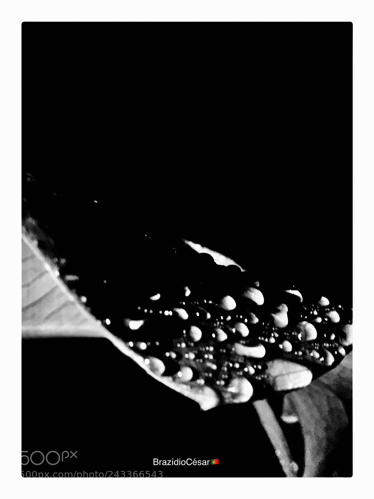 Apple iPhone 6s sample photo. Untitled photography